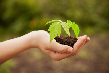 Donate to New Leaf Resources