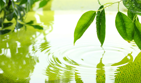 New Leaf Resources Mental Health Counseling