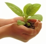 Partner with New Leaf Resources Partner with New Leaf Resources